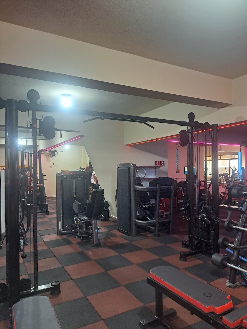 Academia vibefit filial 24H